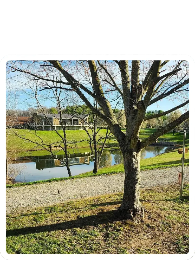 A view through branches of a large tree looking down toward a calm pond reflecting a lakeside lodge building at Kountry Resort Campground.