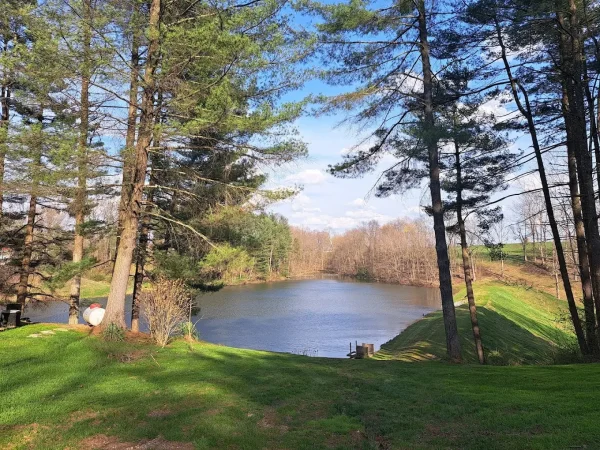 A beautiful view looking through tall pine trees down toward a calm lake surrounded by grassy banks and a dense forest under a blue sky at Kountry Resort Campground.